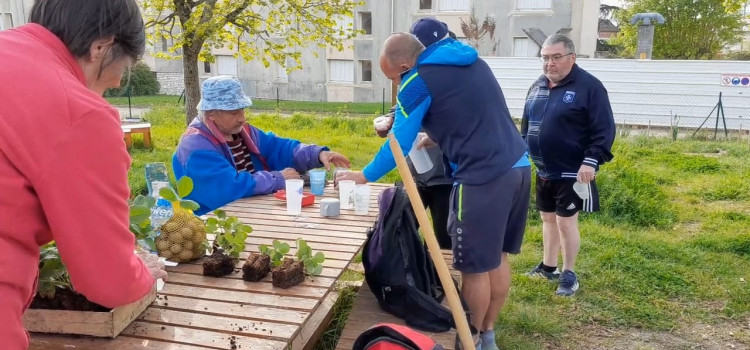 AuxR_Logis - Jardin partagé des Rosoirs