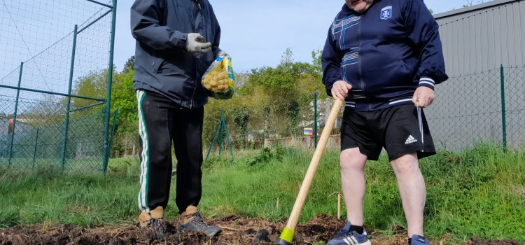 AuxR_Logis - Jardin partagé des Rosoirs
