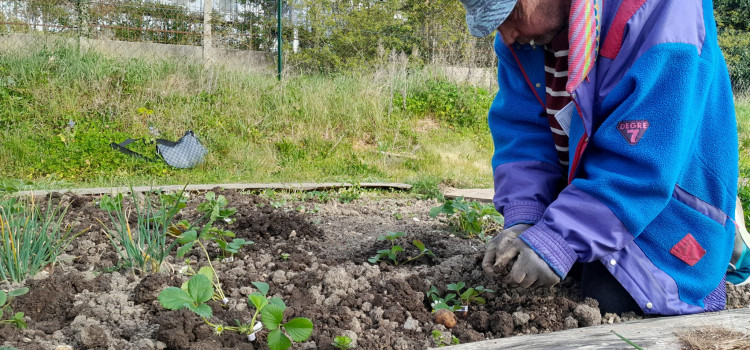 AuxR_Logis - Jardin partagé des Rosoirs