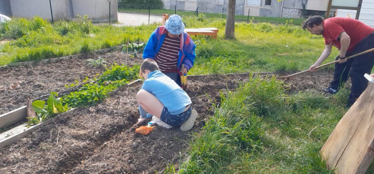 AuxR_Logis - Jardin partagé des Rosoirs