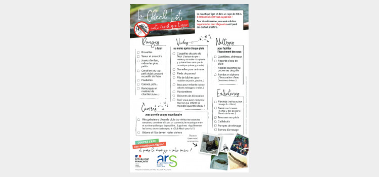 🦟 Le moustique tigre est de retour : la Ville alerte