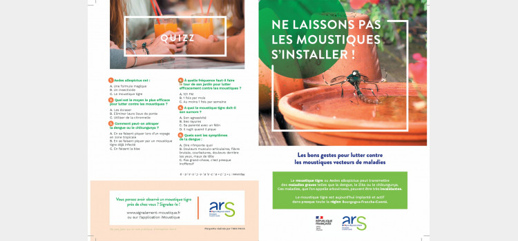 🦟 Le moustique tigre est de retour : la Ville alerte