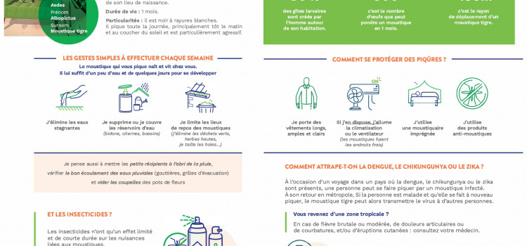 🦟 Le moustique tigre est de retour : la Ville alerte