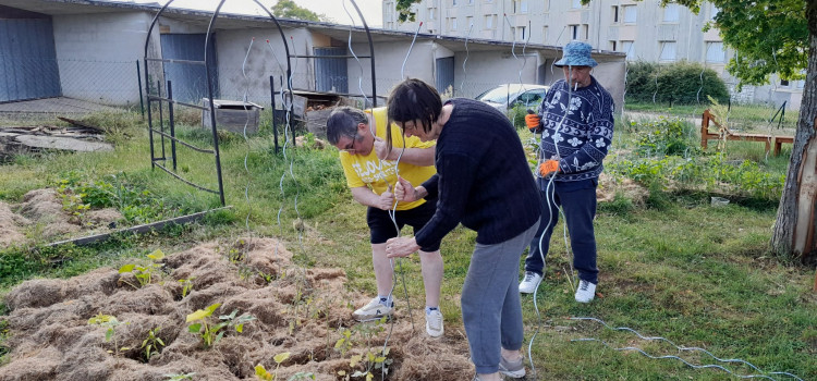 Au programme : plantation, désherbage, arrosage... et bien-être !