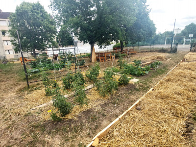 Aux Rosoirs, le renouveau du jardin partagé