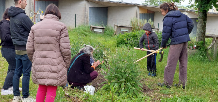 Rendez-vous au jardin : des visiteurs efficaces