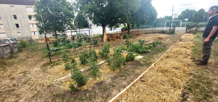 Aux Rosoirs, le renouveau du jardin partagé